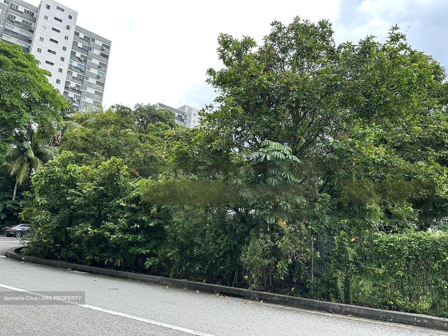 Balmoral Park (D10), Detached #457910291